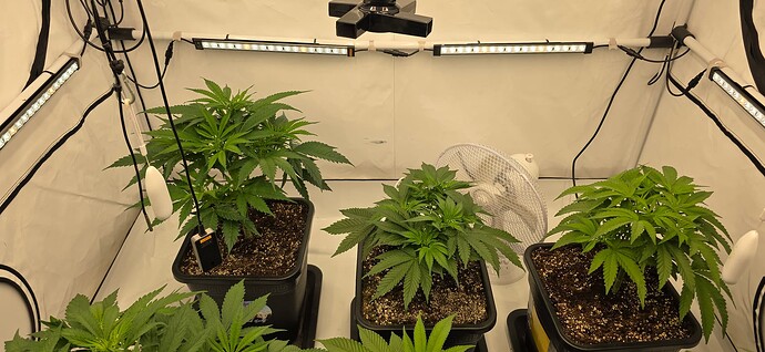 Growreport Bild 42