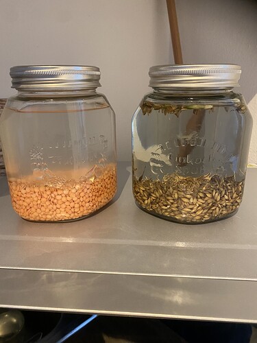 Growreport Bild 37