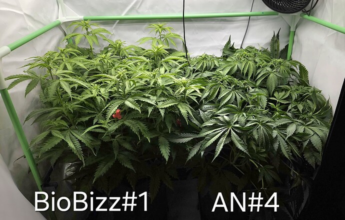 Growreport Bild 5