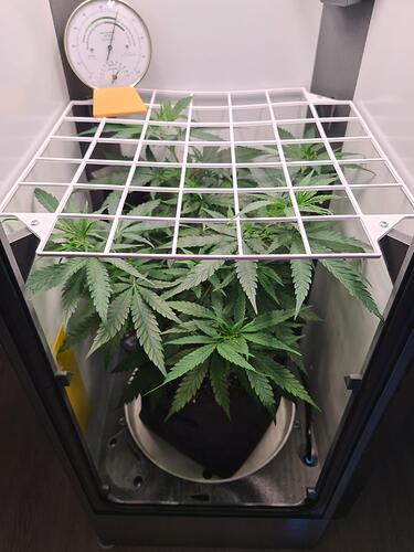 signal-2024-07-29-162924_002