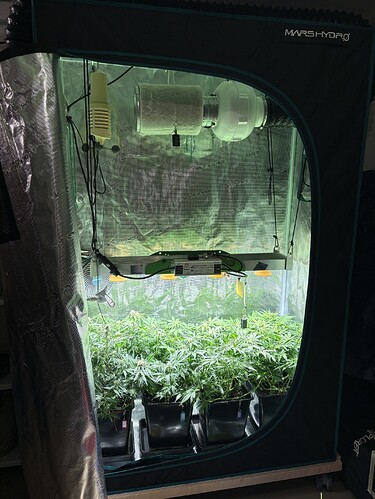Growreport Bild 5