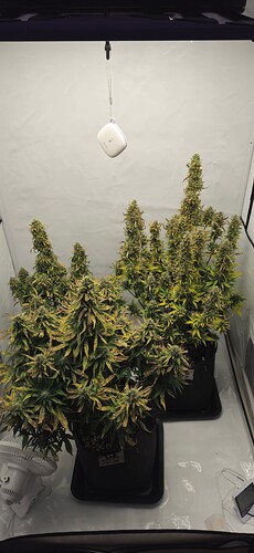 Growreport Bild 25