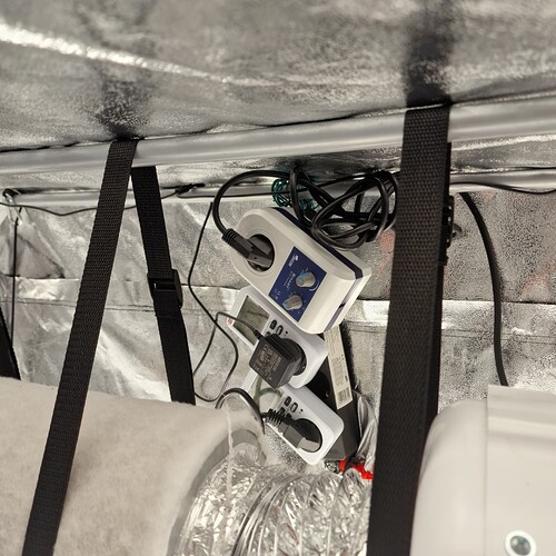 Growreport Bild 3