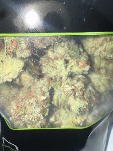 Growreport Bild 53