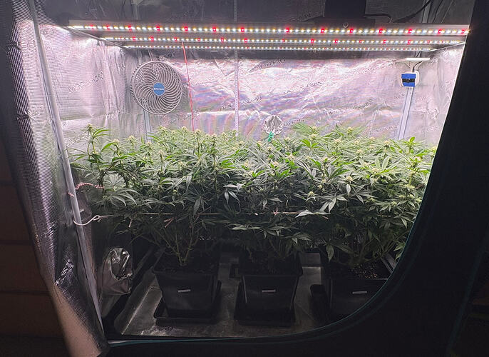 Foto 10.01.26, 06 12 14