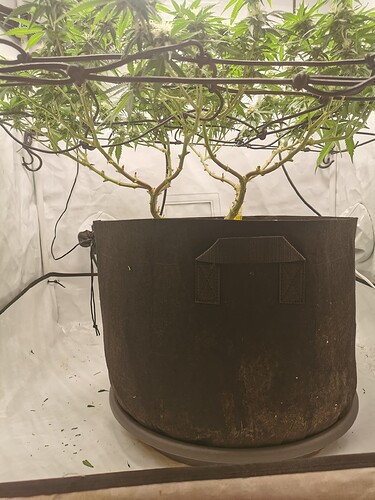 Growreport Bild 12