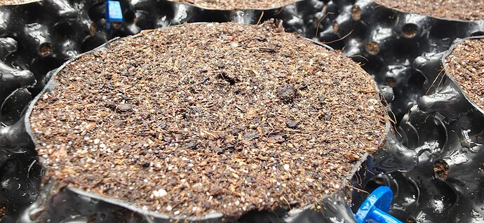 Growreport Bild 42