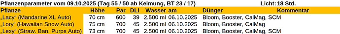 Growreport Bild 26