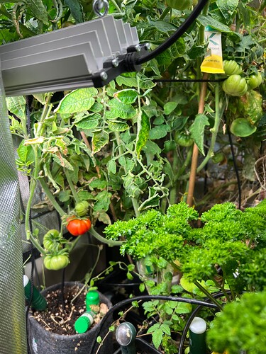 Growreport Bild 16