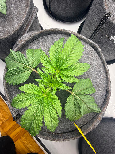 Growreport Bild 9