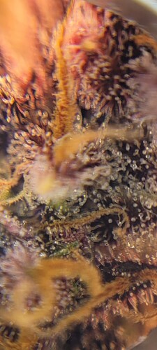 Screenshot_20240507_111352_Gallery