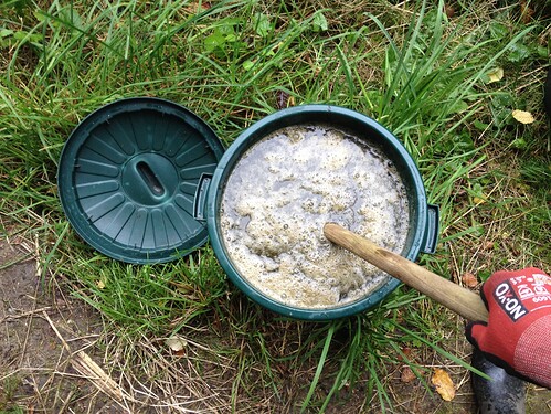 Growreport Bild 23