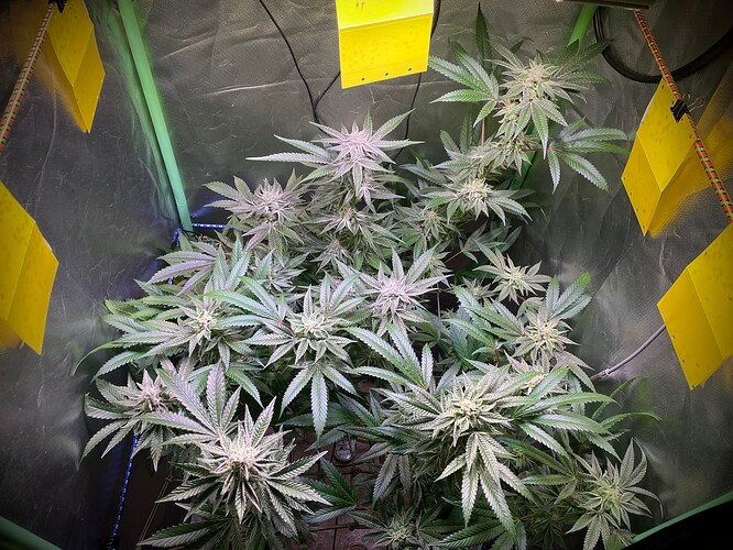 Growreport Bild 8
