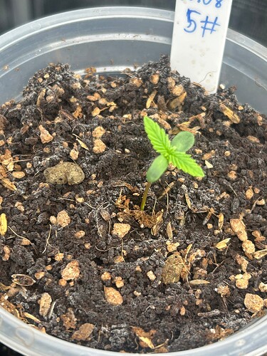 Growreport Bild 39