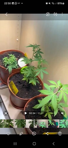 Screenshot_20240604_225006_Gallery