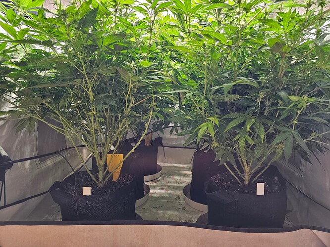 Growreport Bild 1