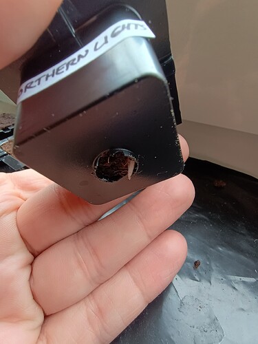 IMG_20240422_083945521_HDR