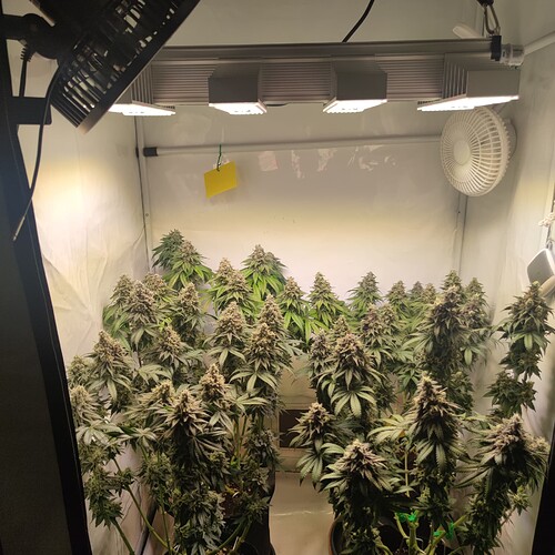 Growreport Bild 7