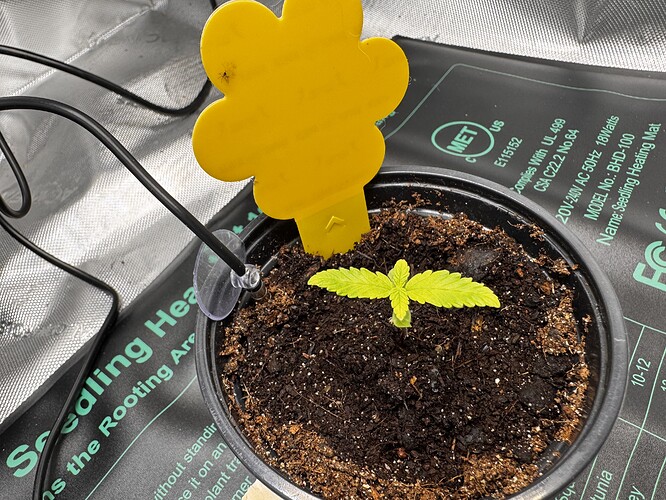 Growreport Bild 1