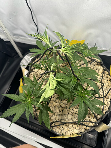 20240503_051340479_iOS