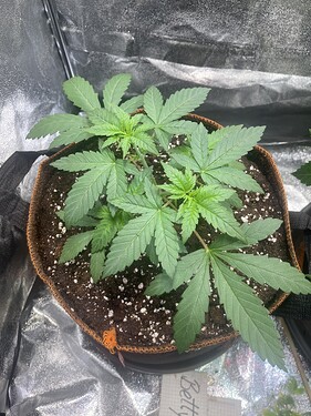 Growreport Bild 17