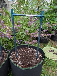 PXL_20250530_101601105