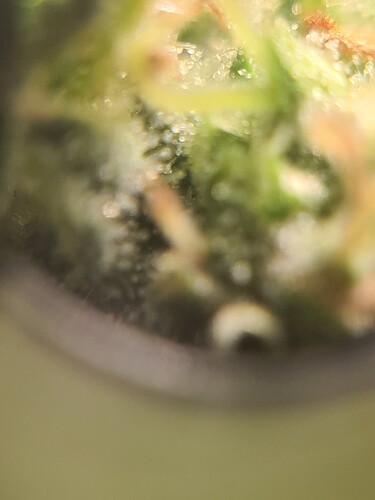 Growreport Bild 19