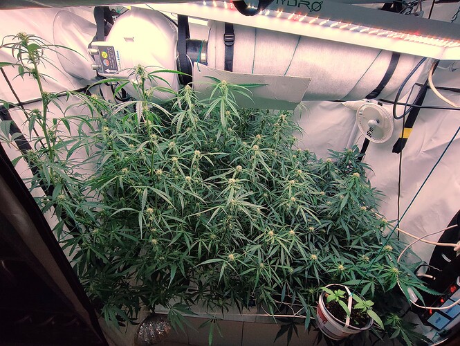 Growreport Bild 11