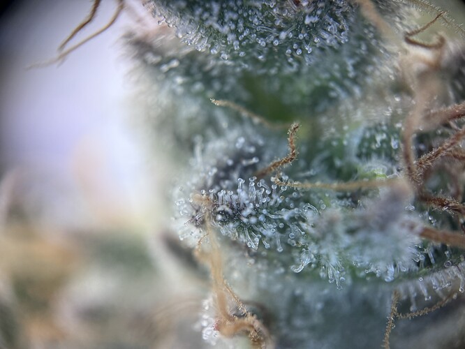 Growreport Bild 21
