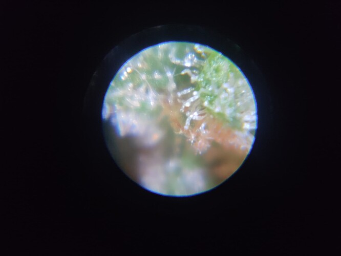 Growreport Bild 10