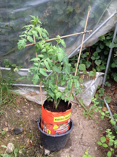 Growreport Bild 18