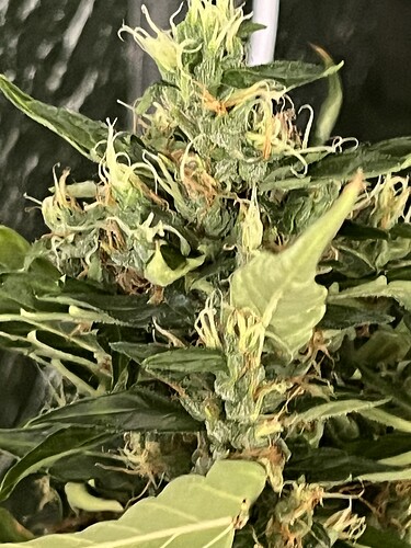 Growreport Bild 10