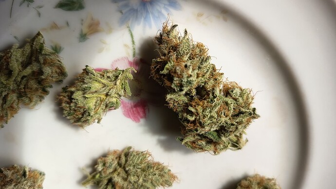 Growreport Bild 59