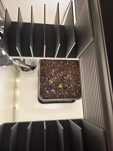 Growreport Bild 6