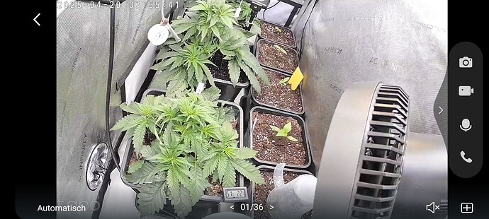 Growreport Bild 19