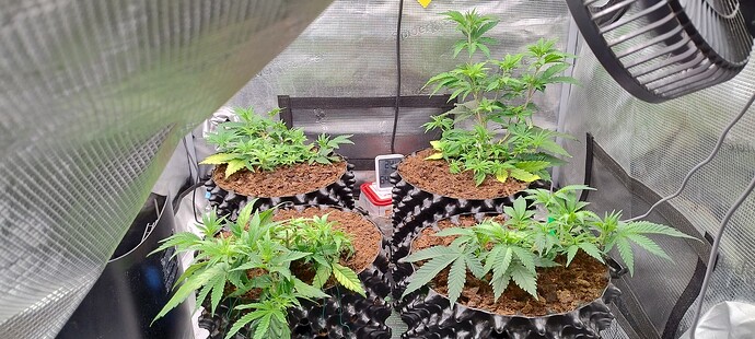 IMG_20251002_091839820_HDR