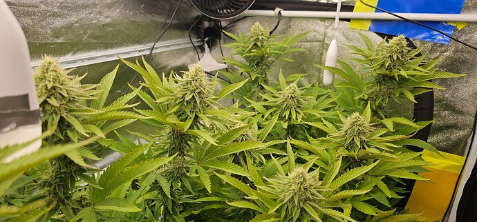 Growreport Bild 19