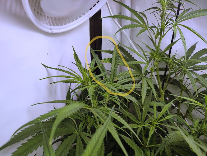 Growreport Bild 8
