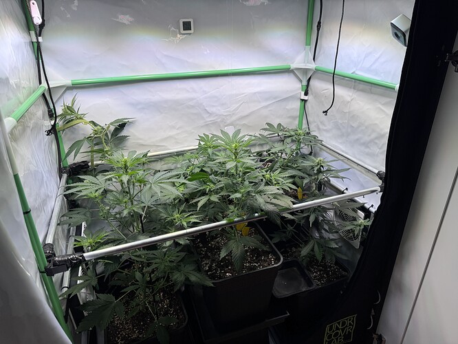 Growreport Bild 27