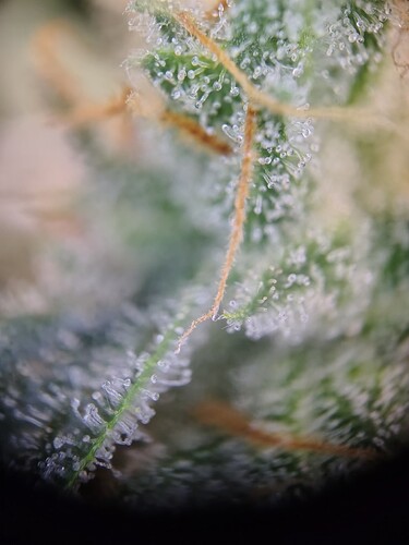 IMG_20250512_100944698_HDR
