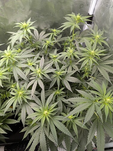 PXL_20250710_180818200.MP