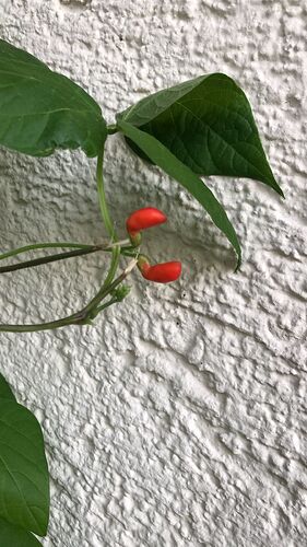 Growreport Bild 51