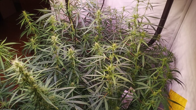 Growreport Bild 18