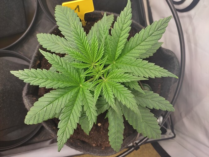 Growreport Bild 10