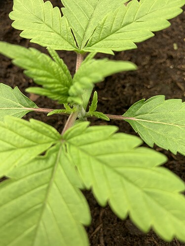 Growreport Bild 16