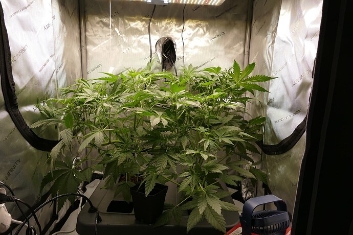 Growreport Bild 10