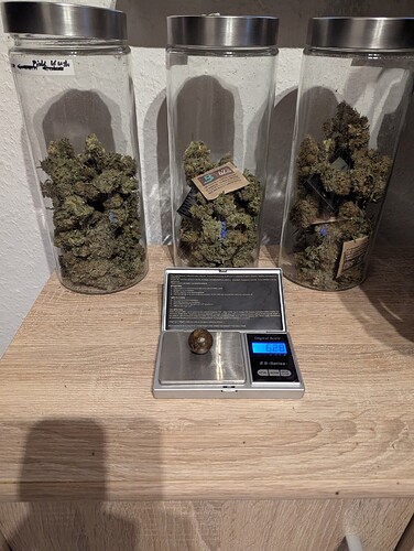 Growreport Bild 1