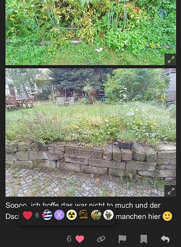 Growreport Bild 55