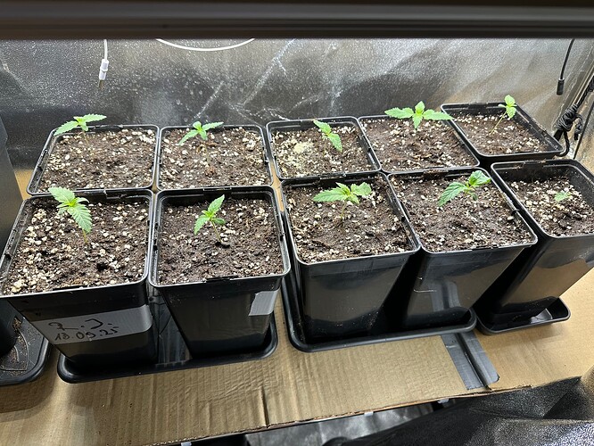 Growreport Bild 11