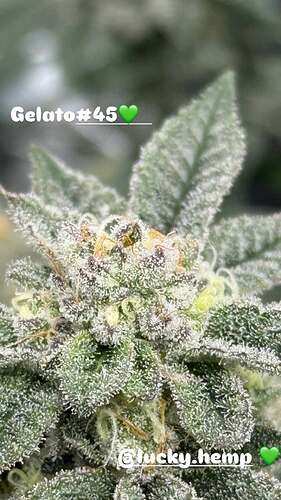 625850864_18051717632695349_1501475370082358059_n